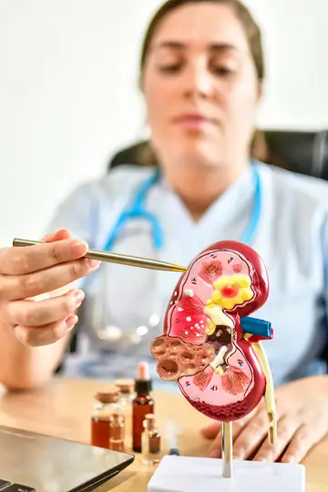 kidney health image tall