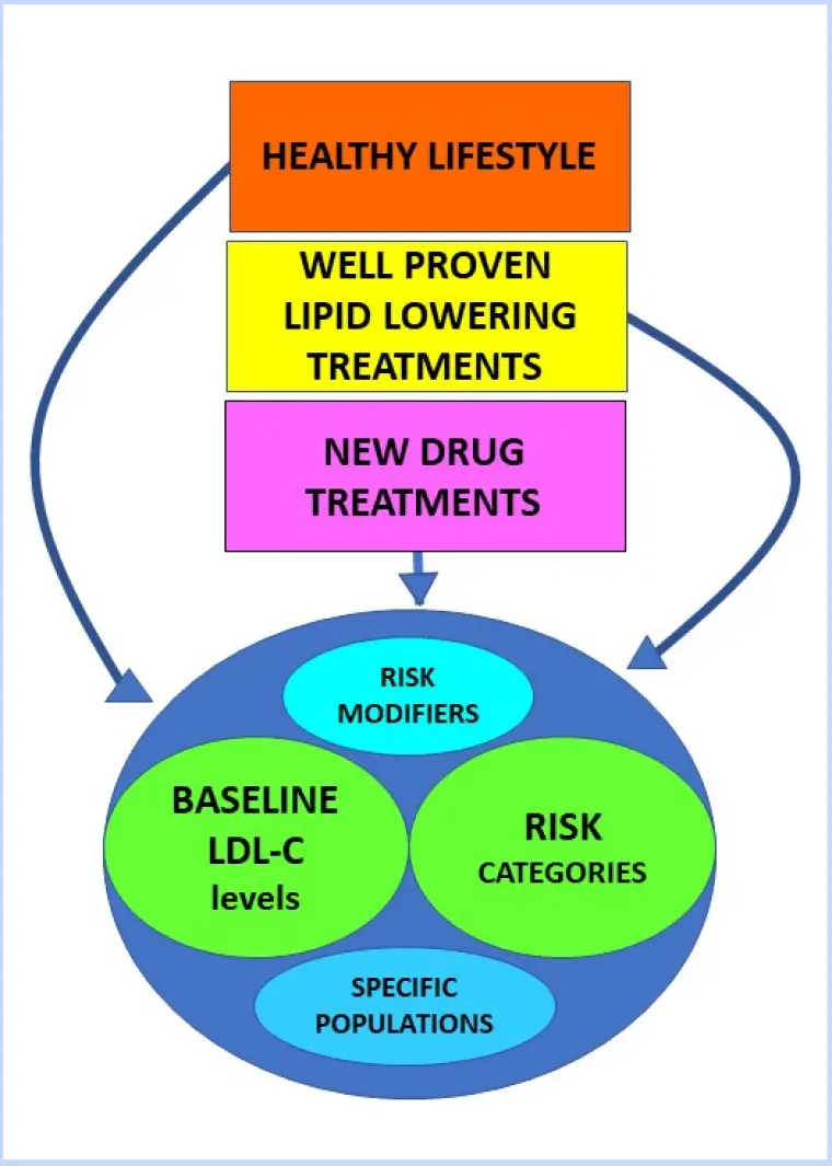 Effective LDL Reduction - A proven path to a healthy heart - image