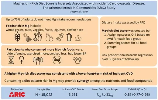 ARIC Reveals That a Magnesium-Rich Diet Score Slashes Cardiovascular Risk